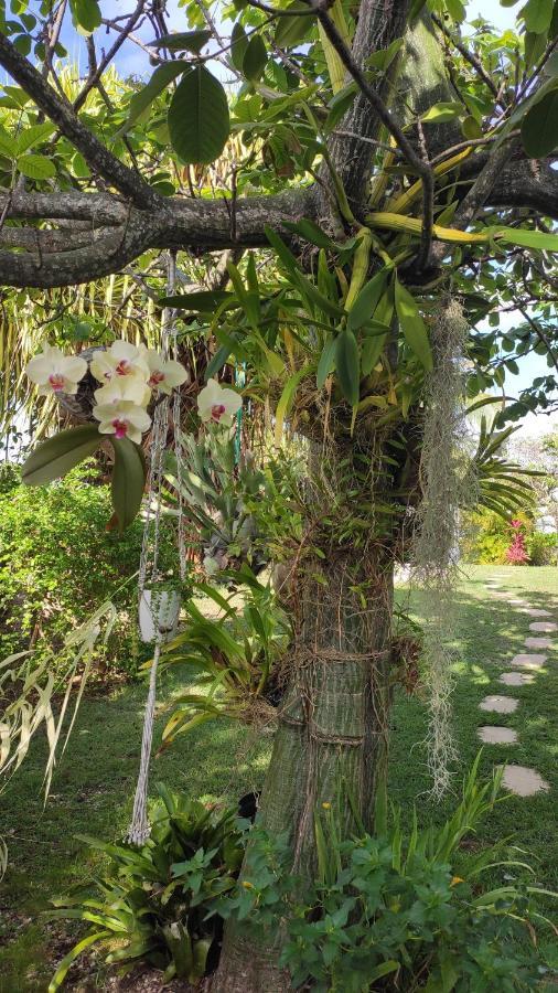 Villa Titemarina Le Gosier  Ngoại thất bức ảnh